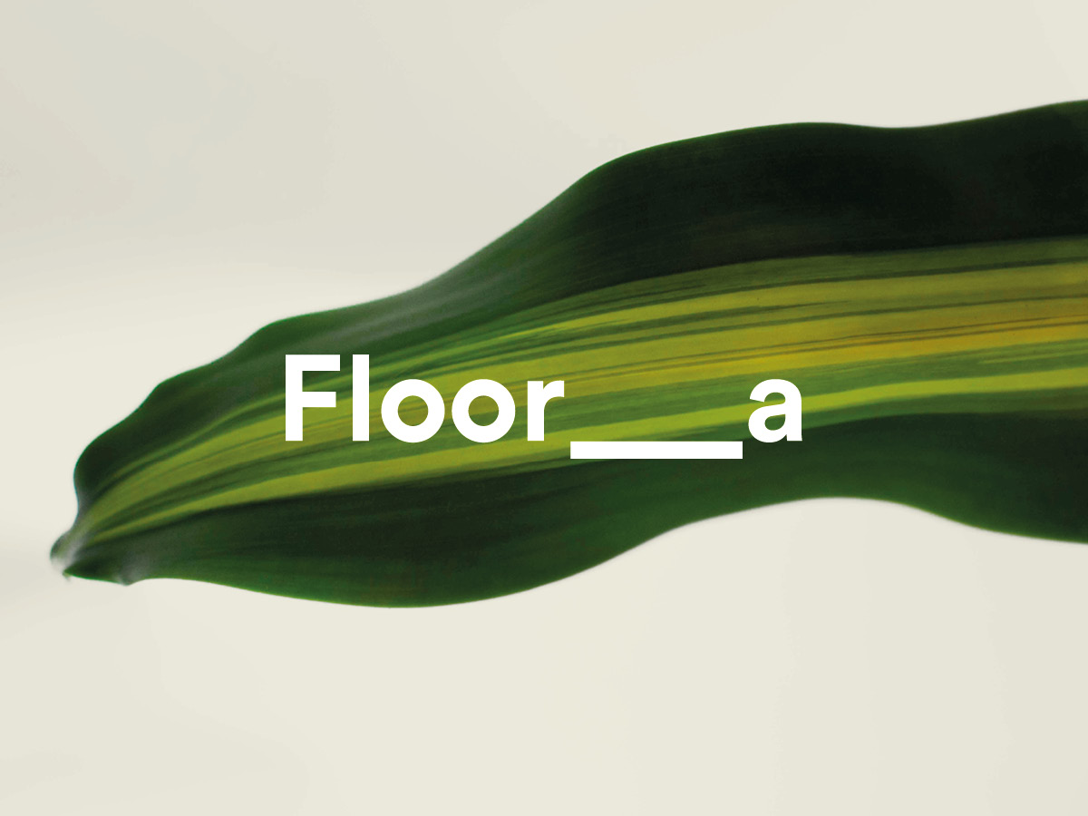 Floor-aIdentity-004 